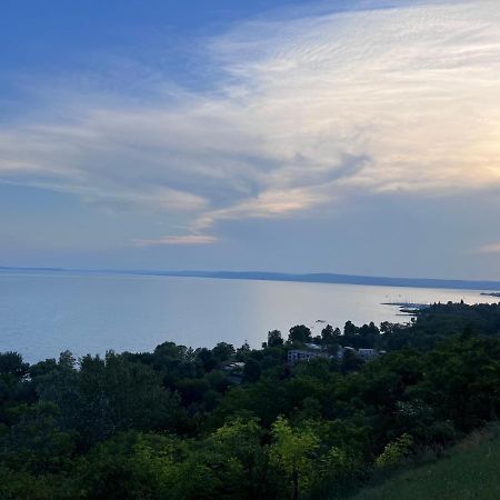 Balatonakarattya Magaspart Villa Bagian luar foto